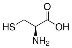 L-cysteine Base Cas No: 7048-04-6