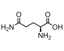 L-Glutamine Amino Acid - Cas No: 56-85-9