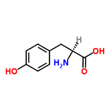 L-Tyrosine