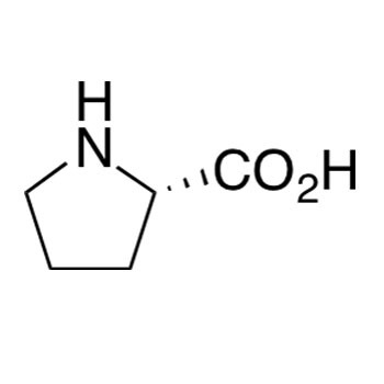 L-Proline Amino Acid - Cas No: 147-85-3
