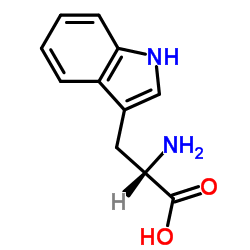 L-Tryptophan Cas No: 73-22-3