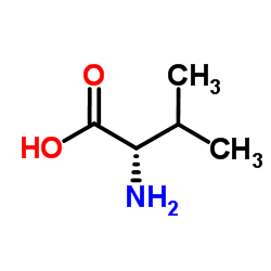 L-Valine Amino Acid - Cas No: 72-18-4