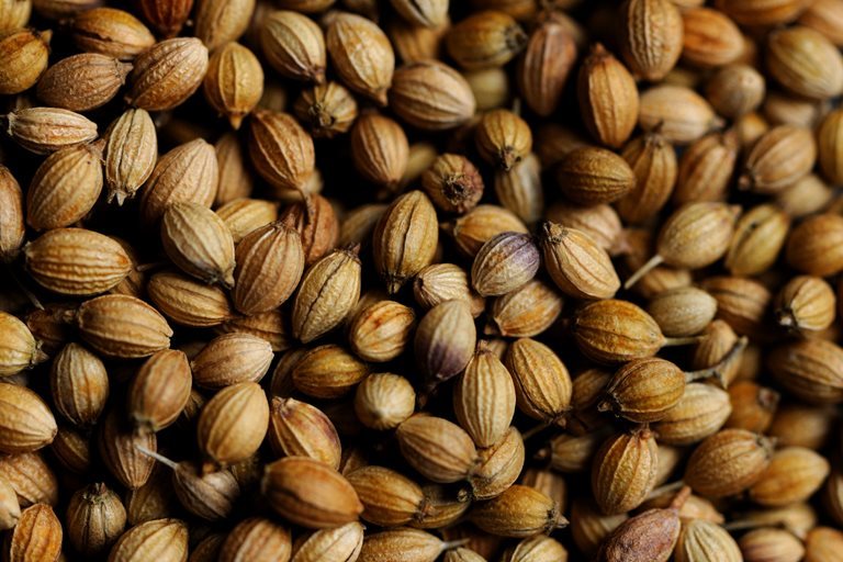 Kinal Coriander Seeds