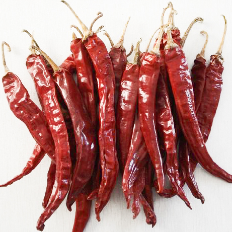 Red Chilli
