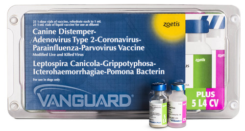 Distemper adenovirus store