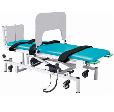 Electric Tilt Table With Ankle Joint Exercise Board - Leather Steel, 190x80x106 cm, Blue | Electrical Control, Standing Training, Ankle Joint Correction