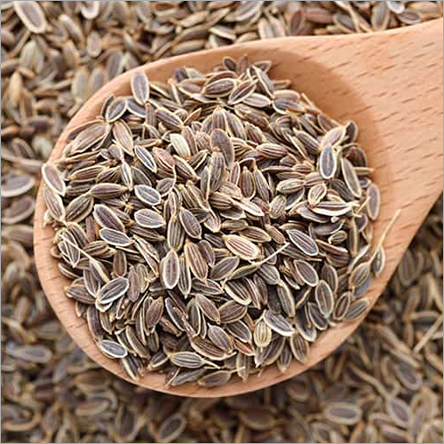 Organic Dill Seeds Organic Dill Seeds