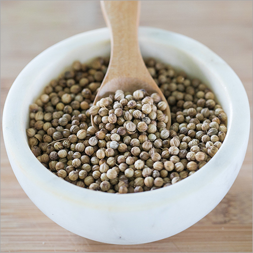 Natural Organic Coriander Seeds Natural Organic Coriander Seeds