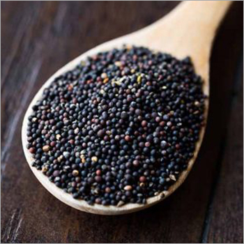 Mustard Seeds Mustard Seeds