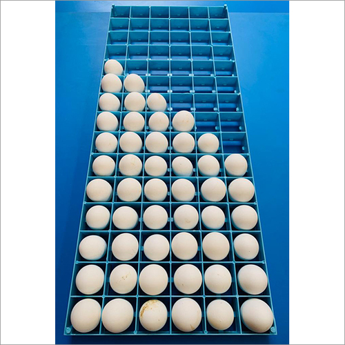 Egg Setting Tray