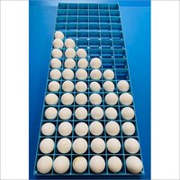 Setting Tray