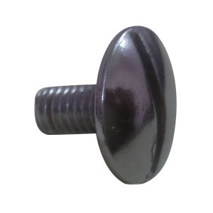 Round Visor Screw