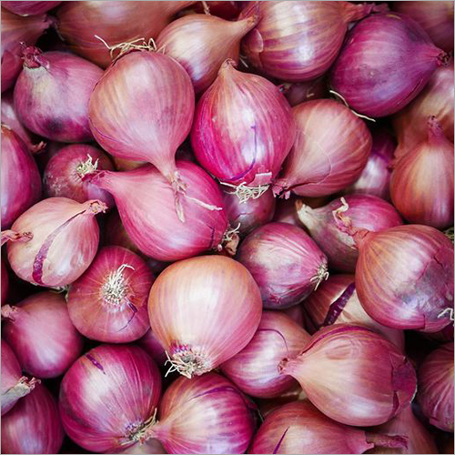Round Red Onion