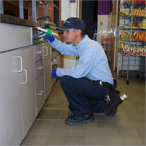 Pest Control Service