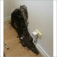 Home Pest Control Service