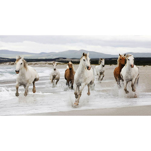 White Running Seven Horses In Day Light On Water As Per Vastu Size: Customized