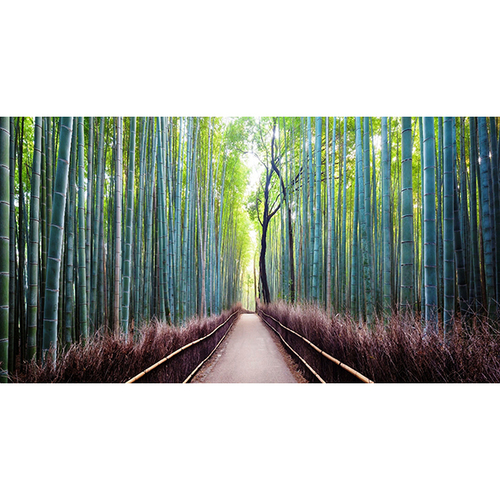 Bamboo Painting - 20x14 Inch with Wooden Brown Frame | Traditional Watercolor Art on Canvas, Vastu Compliant Design