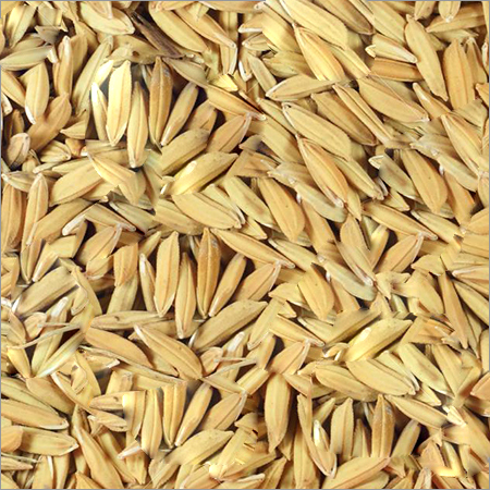 Natural Paddy Seed - All Sizes Available Yellow Color | 99.9% Purity Nutrient-Rich For Healthy Digestion 24-Month Shelf Life Dried Style