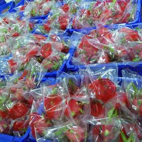 Fresh Dragon Fruit