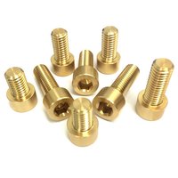 Round Brass Bolt With Allen Punch