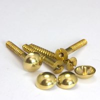 Brass Mirror Screws With Cap