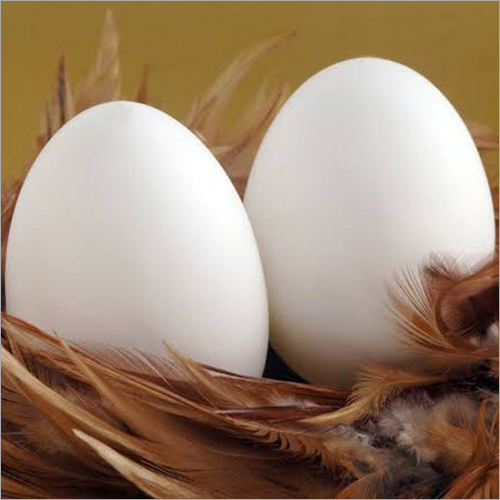 White Eggs Egg Origin: Chicken