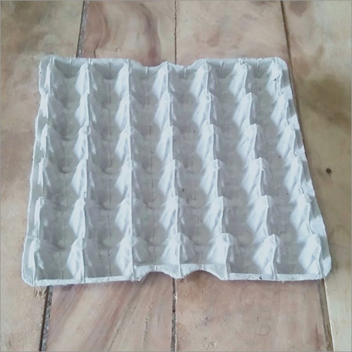 Egg Tray 14 Number