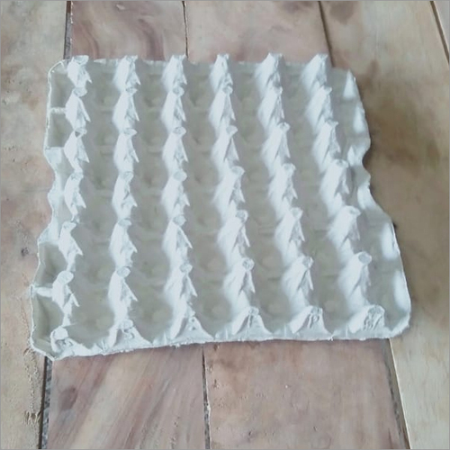 Egg Tray 15 Number