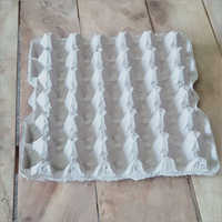 White Egg Tray 16 Number