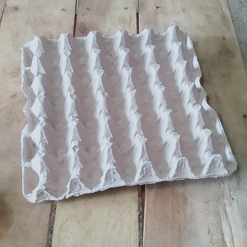 Egg Tray 17 Number