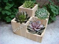 Wooden Planters