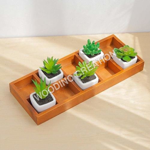 Designer Wooden Planters