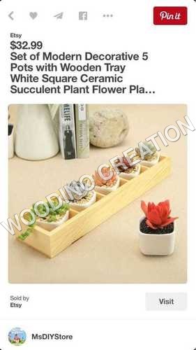 Designer Wooden Planters