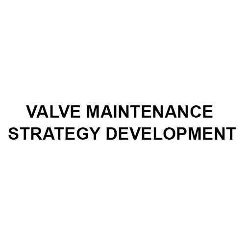 Valve Maintenance Strategy Development