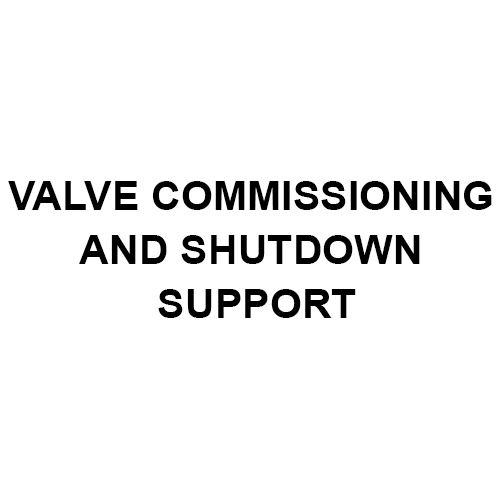 Valve Commissioning And Shutdown Support