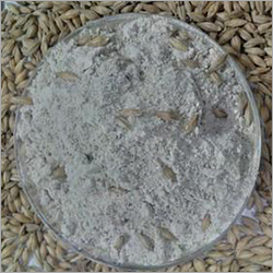 Malt Powder - Food Grade, 25 Kg & 50 Kg Pack Size, White Color | Usage: Cooking, Hotels, Home, Meticulously Checked for Smooth Performance