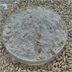 Malt Flour - Food Grade, 25 kg & 50 kg Pack Size, High Protein Content | Ideal for Hotels and Homes, Chemical-Free, Nutrient-Rich Source