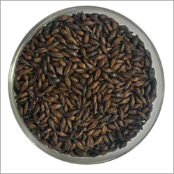 Black Malt Seed - Organic, Food Grade, 99% Purity, Brown Color | Ideal for Food, Bakery & Breweries, Long Shelf Life, Customized Weight Options