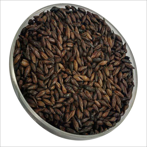 Caramel Malt Seed - Organic, Food Grade, 99% Purity | High Nutritional Value, Tempting Aroma, Delicious Taste, Dried for Bakery and Breweries