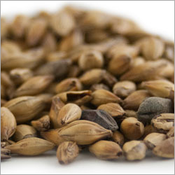 Crystal Barley Malt - Organic Dried Food Grade | Moisture 4%, Purity 96%, Perfect for Health-Conscious Consumers