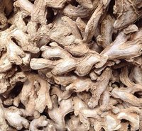Superior Quality Dry Ginger