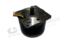 86BYG Micro Motor