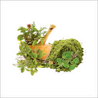 Tulsi Powder - Organic Green Herbal Powder | Antibacterial, Antimicrobial, Detoxifying & Anti-aging Properties