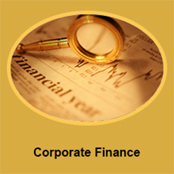 Credit Monitoring Arrangement Data