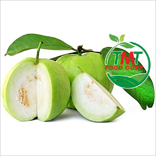 Guava Fruit