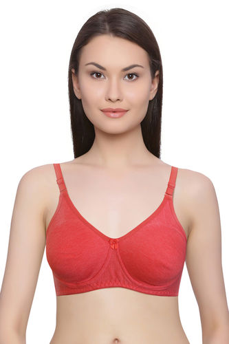 Latest Price T-Shirt Bra,T-Shirt Bra Manufacturer,Supplier,Kalyan