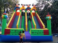 Bouncy Inflatable Castle