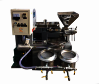 Stainless Steel Groundnut Oil Extraction Machine
