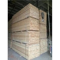 Timber Importer in India