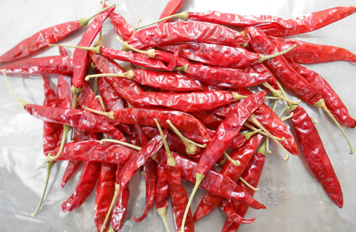 Red Chilli From Kinal